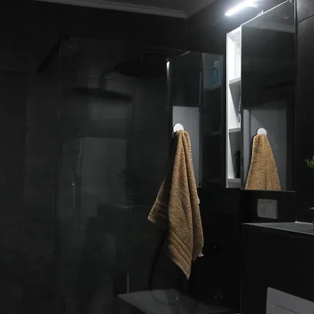 Apartment Milicevic *